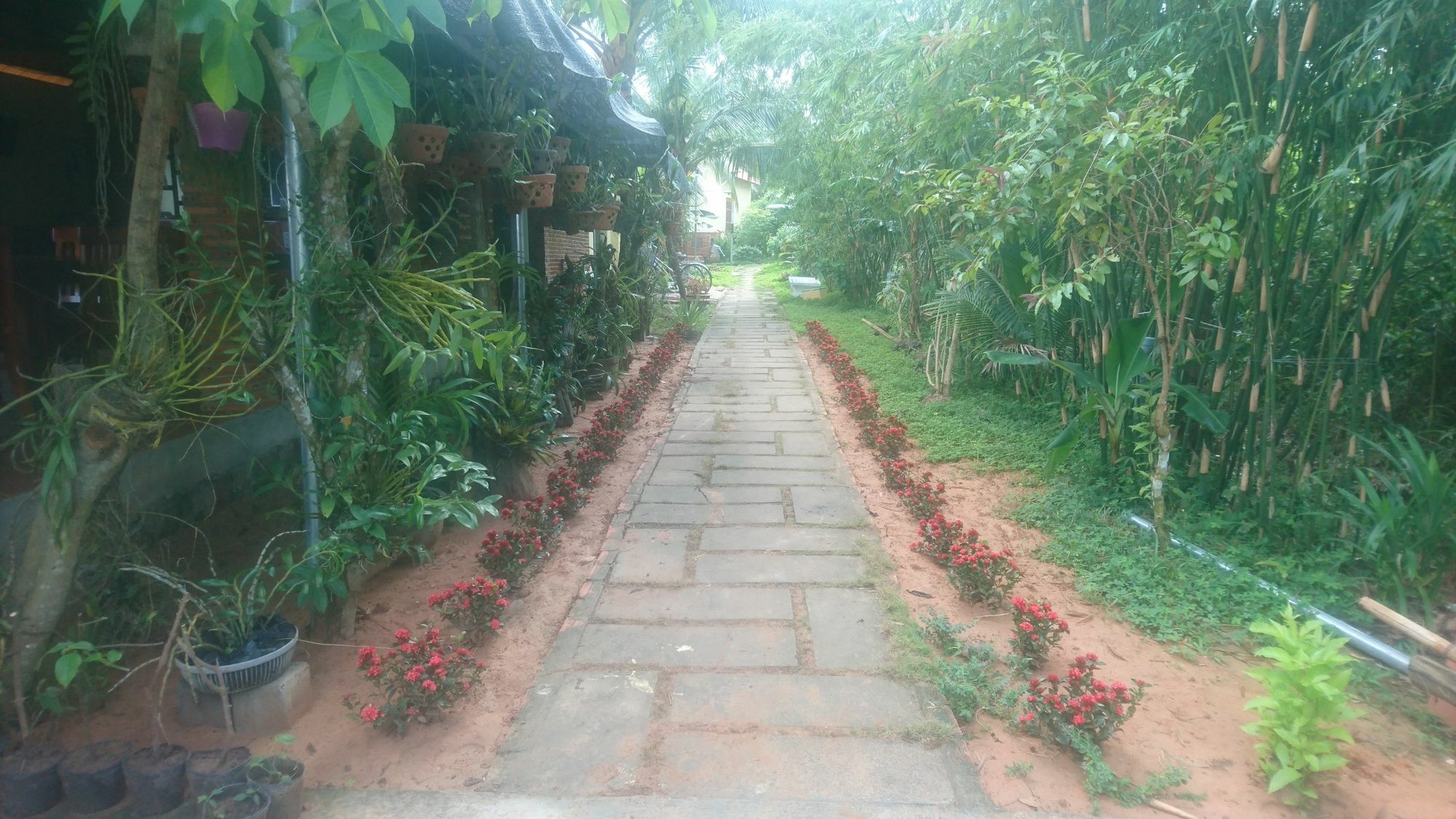 Orchard Fruit Farm Bungalow フーコック エクステリア 写真